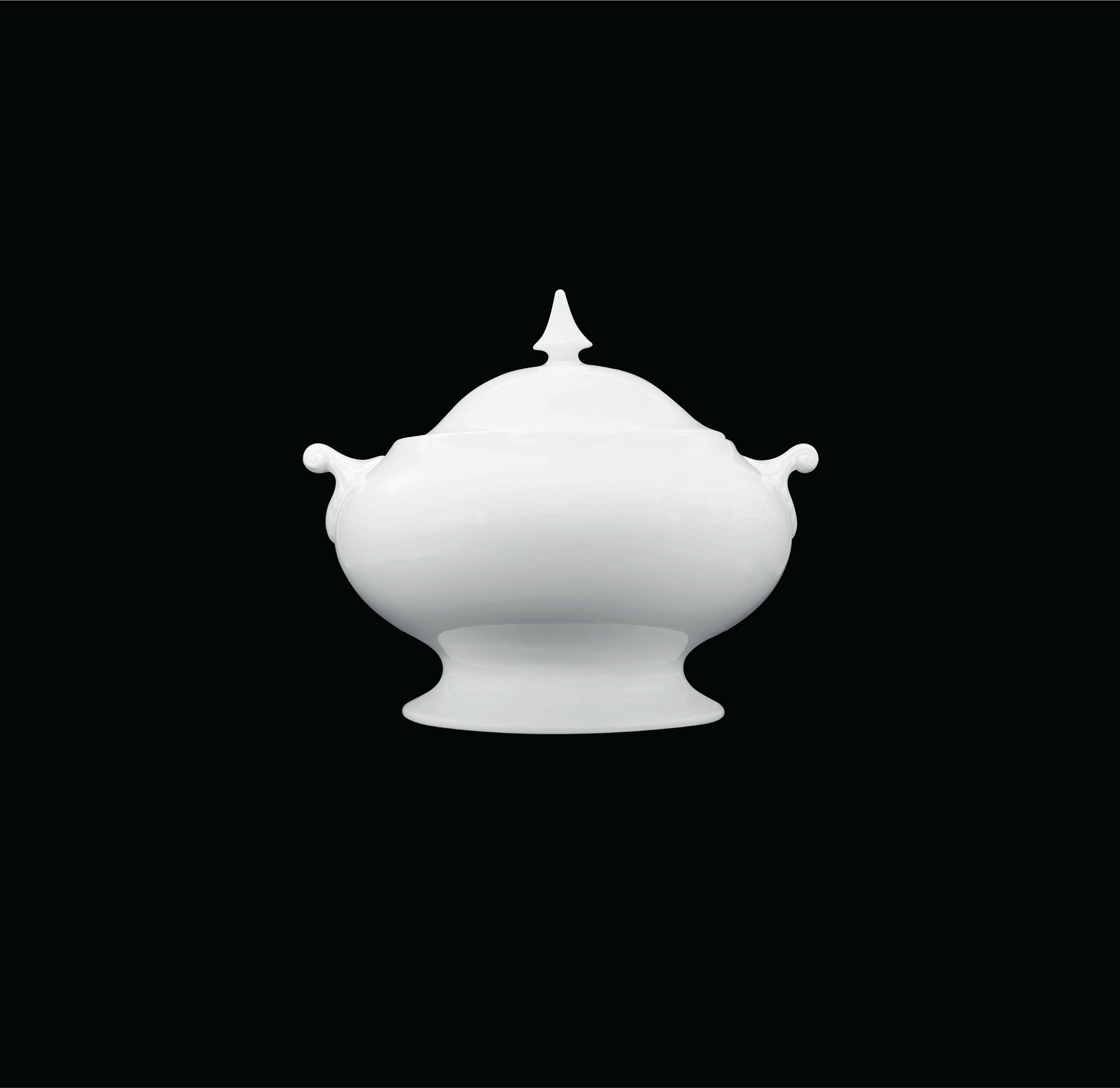 SOUP TUREEN Duchess China